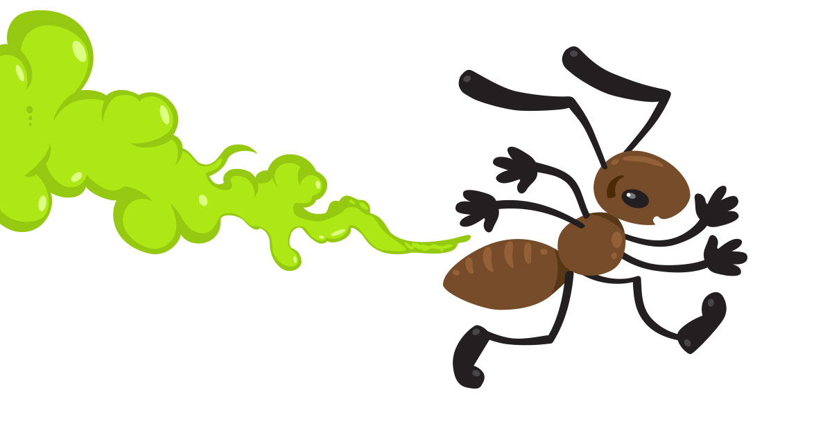 What are Odorous House Ants? Arrow Exterminating