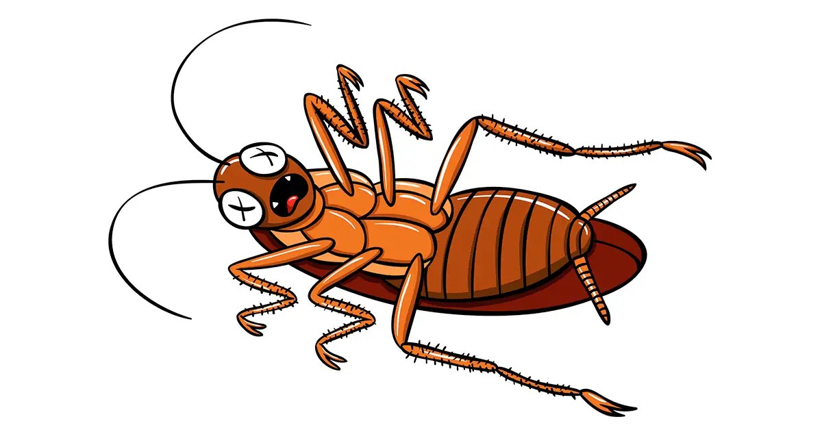 Do Roaches Survive in the Winter? Arrow Exterminating
