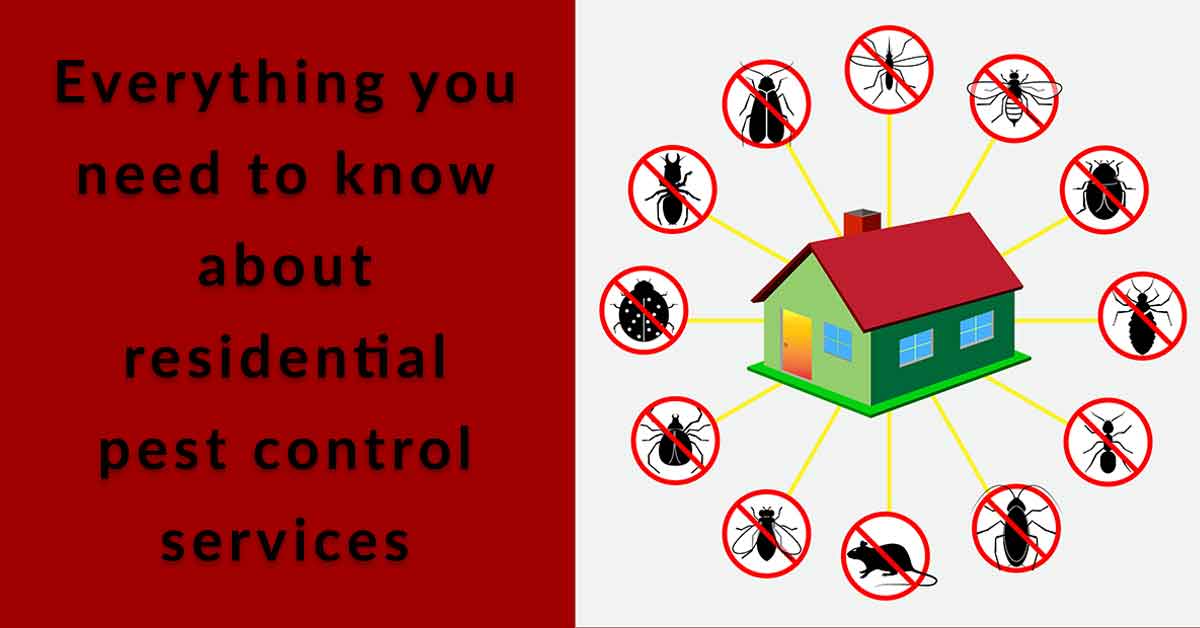 Guide to Residential Pest Control Arrow Exterminating