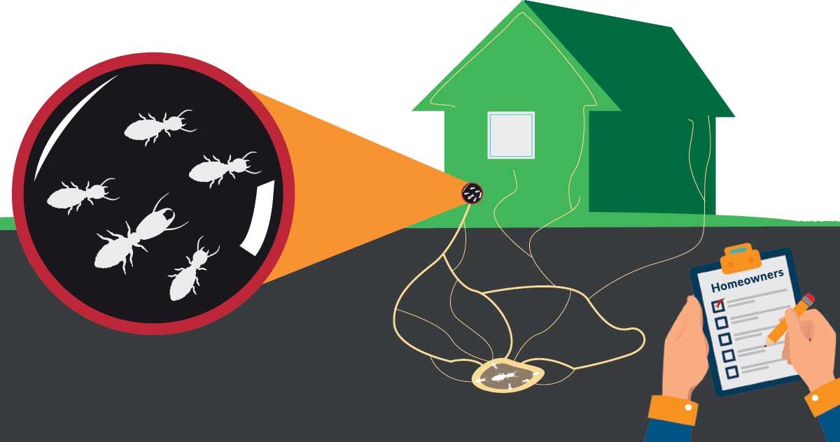 Pest Damage Covered by Homeowner Insurance? Arrow Exterminating