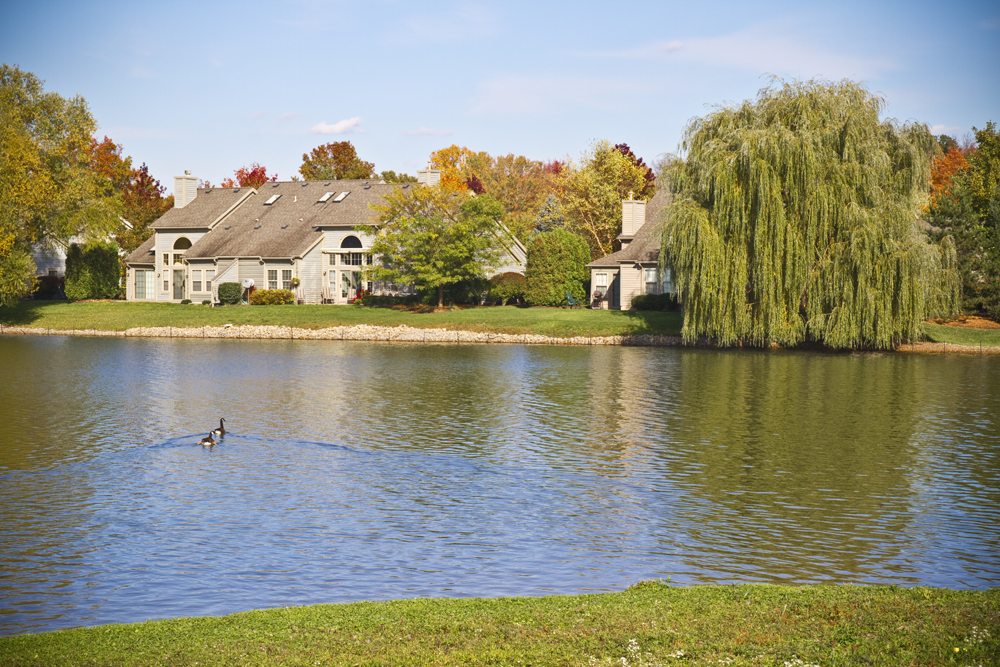 The Back Bay at Arrowhead Lake