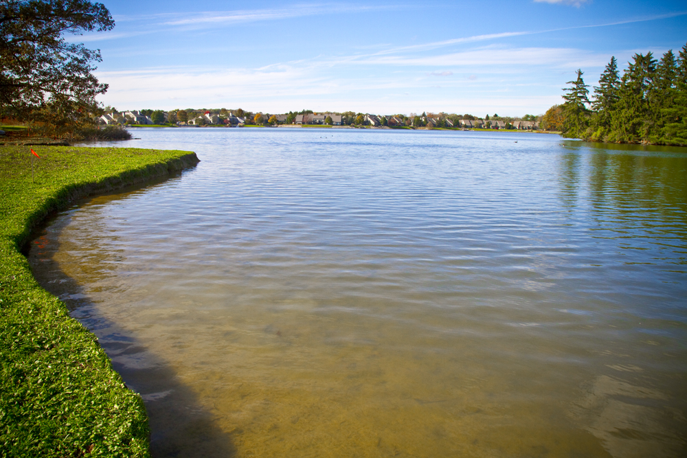 The Back Bay at Arrowhead Lake