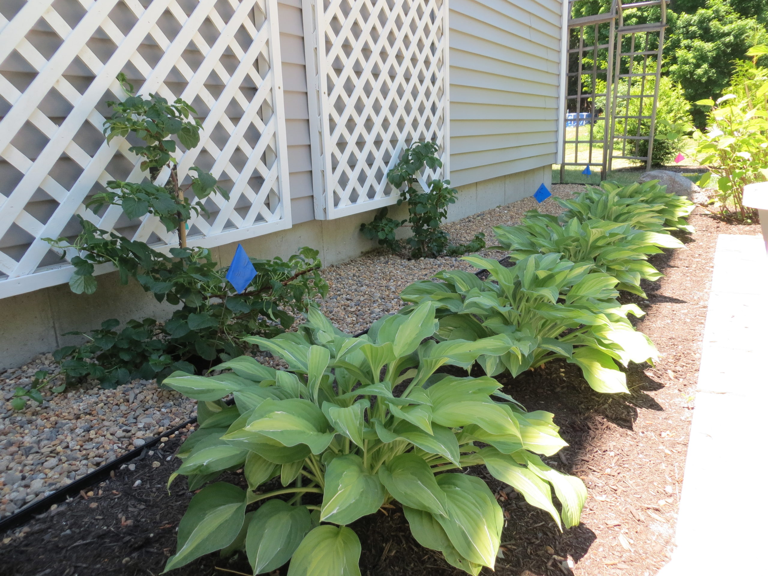 Gallery Arrowhead Landscape Co