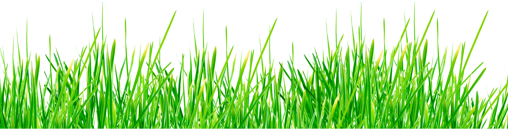 Arrowhead Landscaping, Inc. Revegetation Consulting and Installation