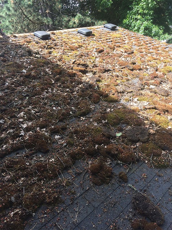 Roof Moss Removal Arrowhead Roof Cleaning & Exteriors