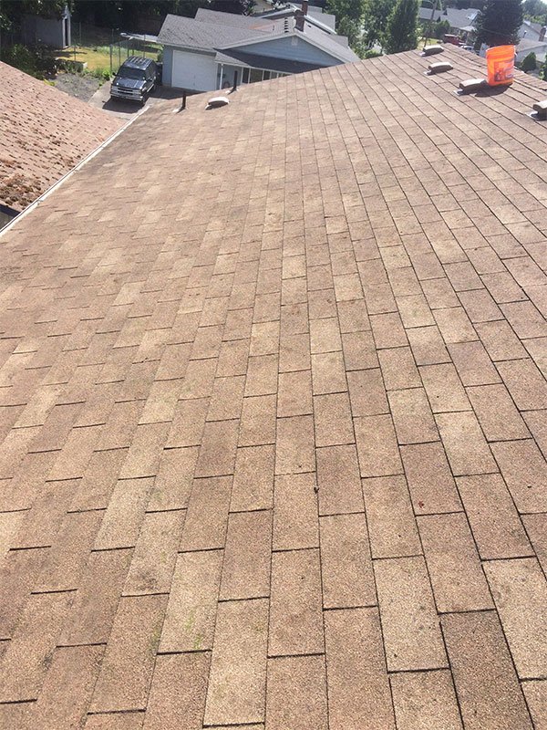 Roof Moss Removal - Arrowhead Roof Cleaning & Exteriors