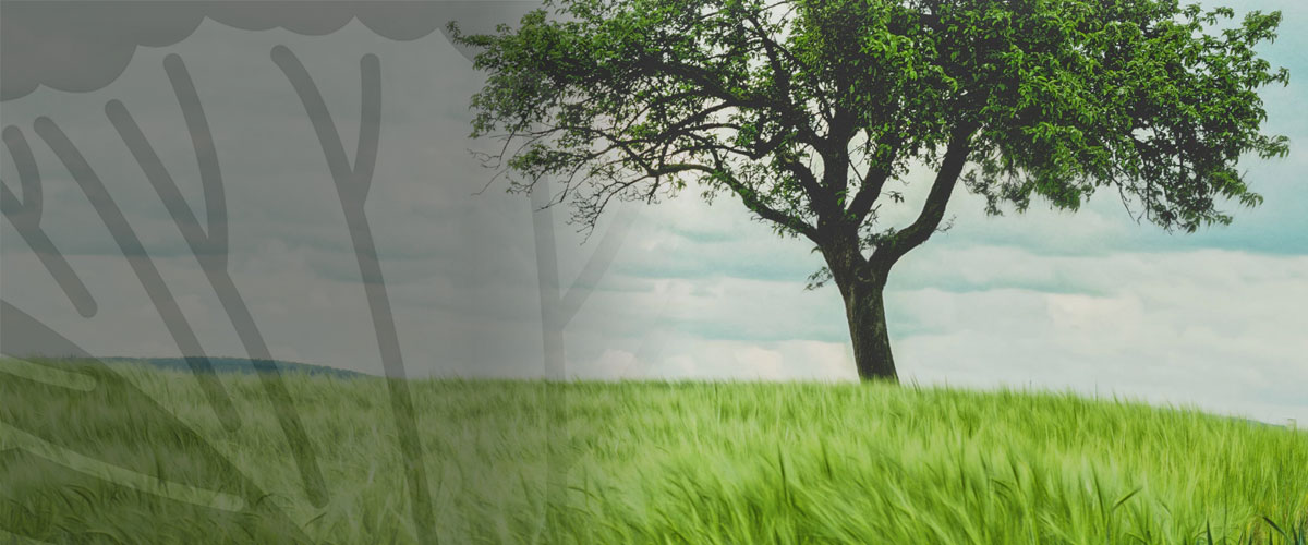 Solid Waste Services Arrowood Environmental Group