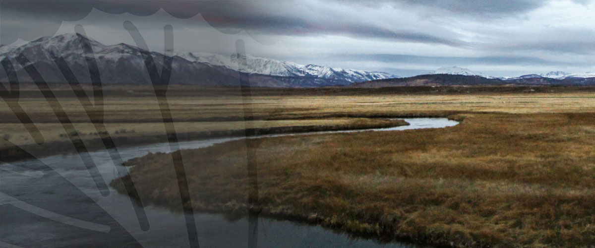 Environmental Consultants Savannah Arrowood Environmental Group