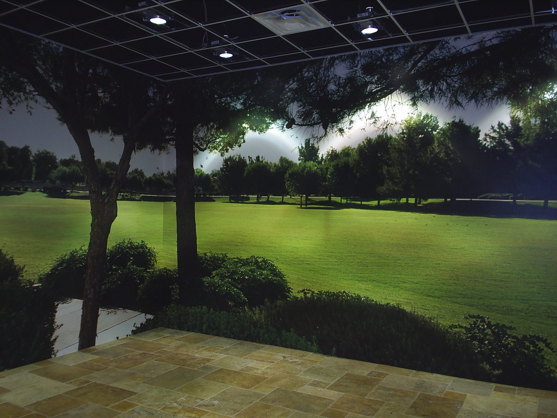 Wall Mural Installation near Scottsdale, Paradise Valley & Phoenix