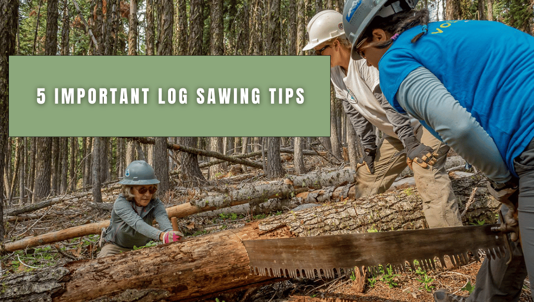 5 Important Tips For Sawing Logs ArrowsUK
