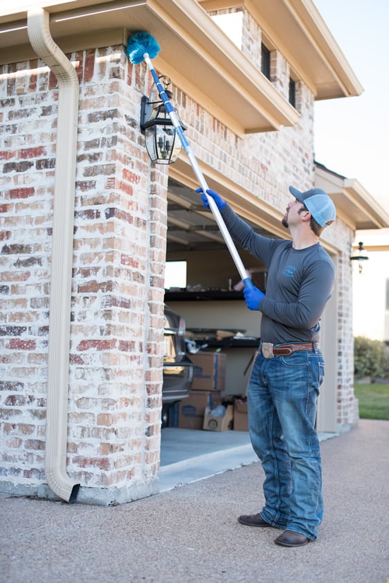 Arrow S Pest Control