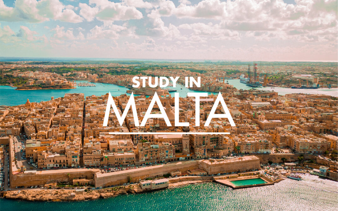 Study in Malta Arrows Education