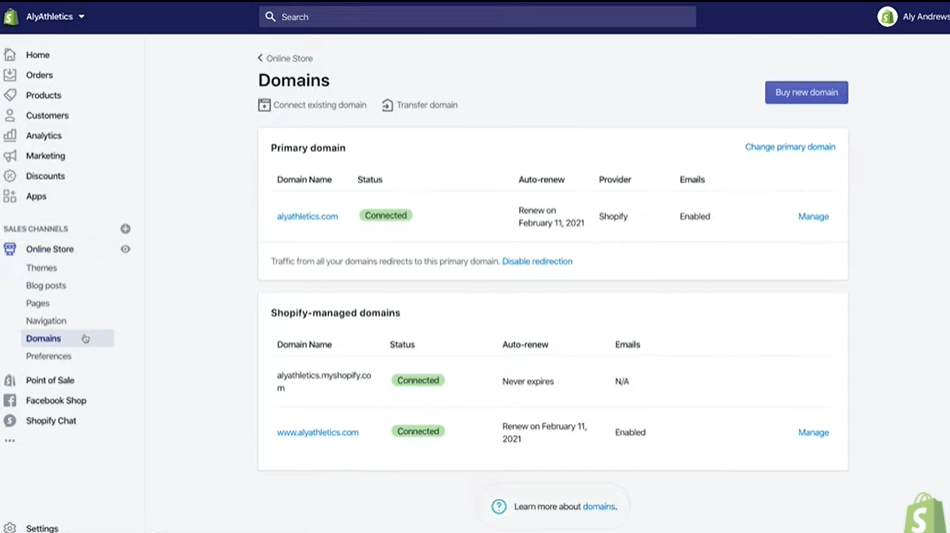 Shopify DNS How to Edit and Reset It (Updated 2024)