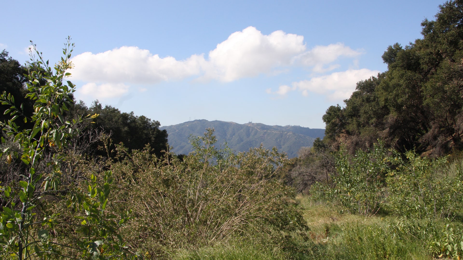 Rosemont Preserve Open Gate, Sunday, 9001100am Arroyos & Foothills