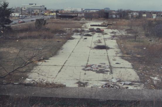 MITCHEL FIELD 2