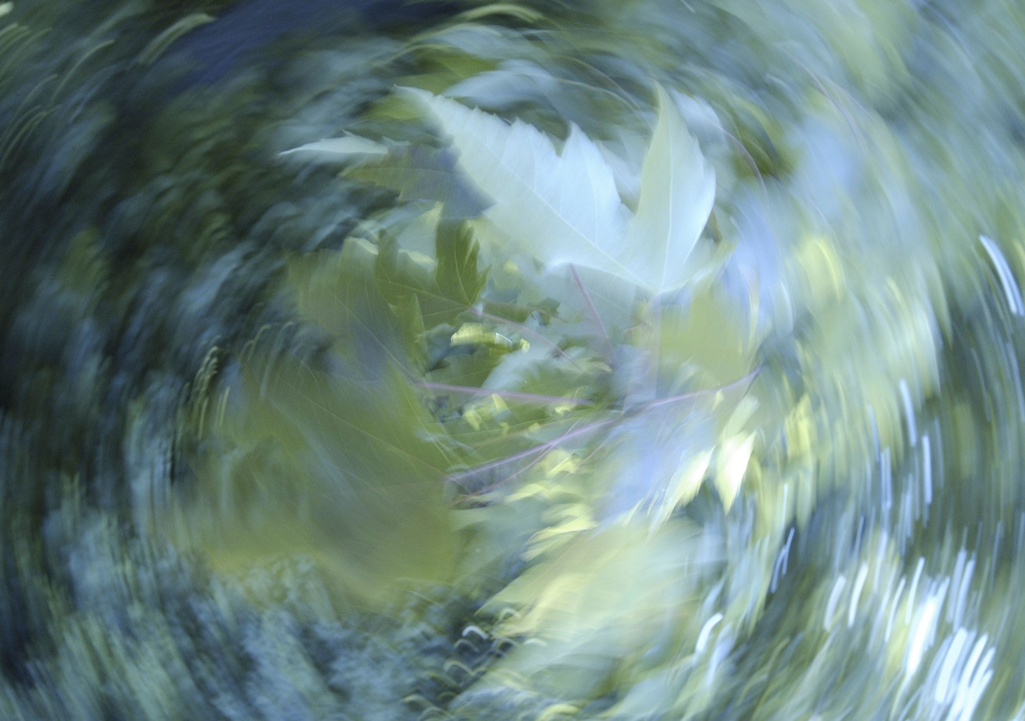 HTML5 Video Banner Marvel RapidWeaver Theme