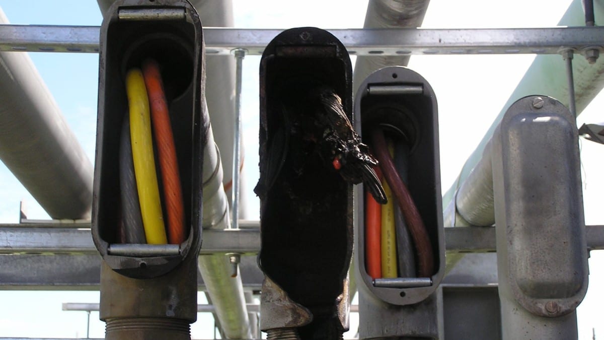 Terminal Cable Failure Root Cause Analysis