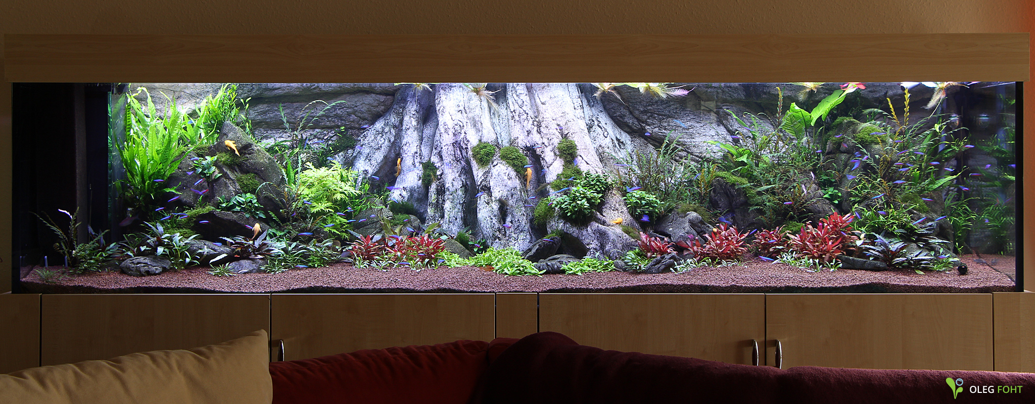 Amazonas XL Aquarium Rückwand mit Wurzel von ARSTONE