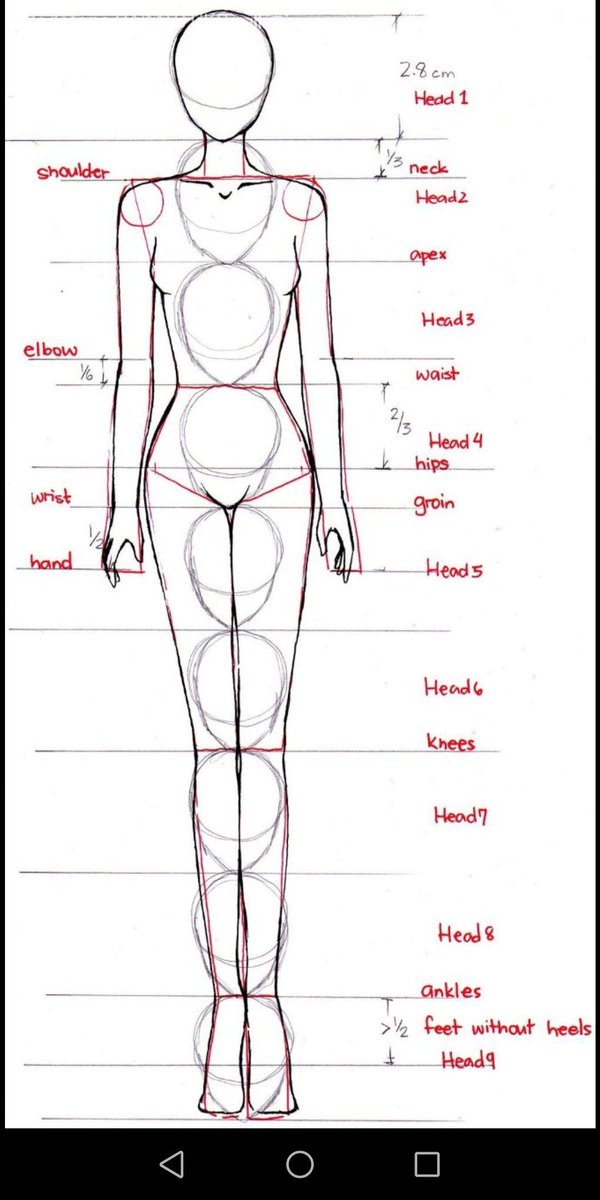 учимся рисовать тело человека