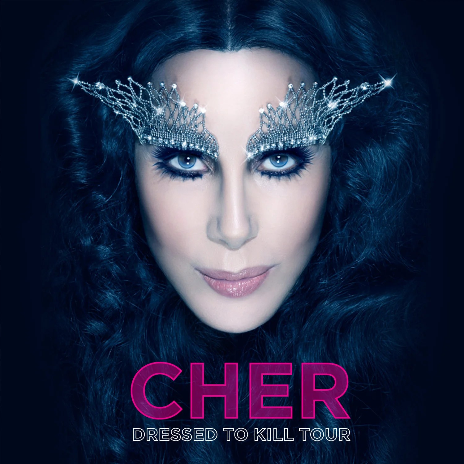 10 Interesting Facts about Cher ArtSheep