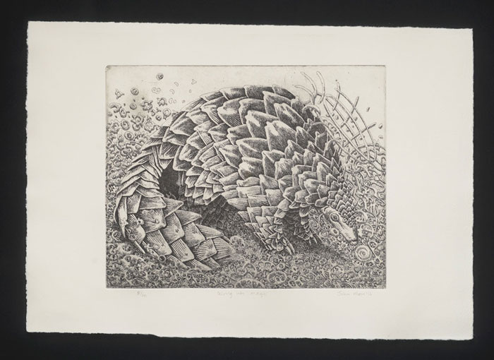 John Moore Etchings Art.co.za Art in South Africa