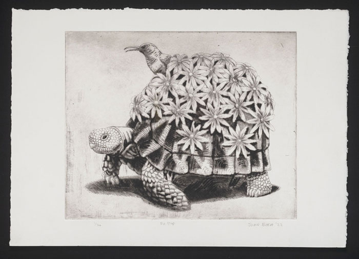 John Moore Etchings Art.co.za Art in South Africa