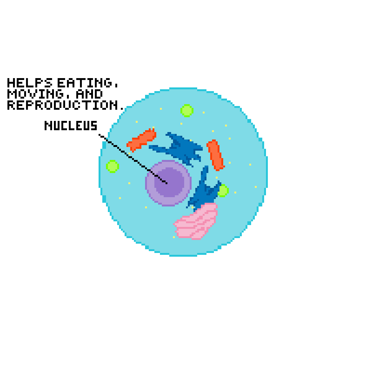 Pixilart Animal Cell by CrossFox