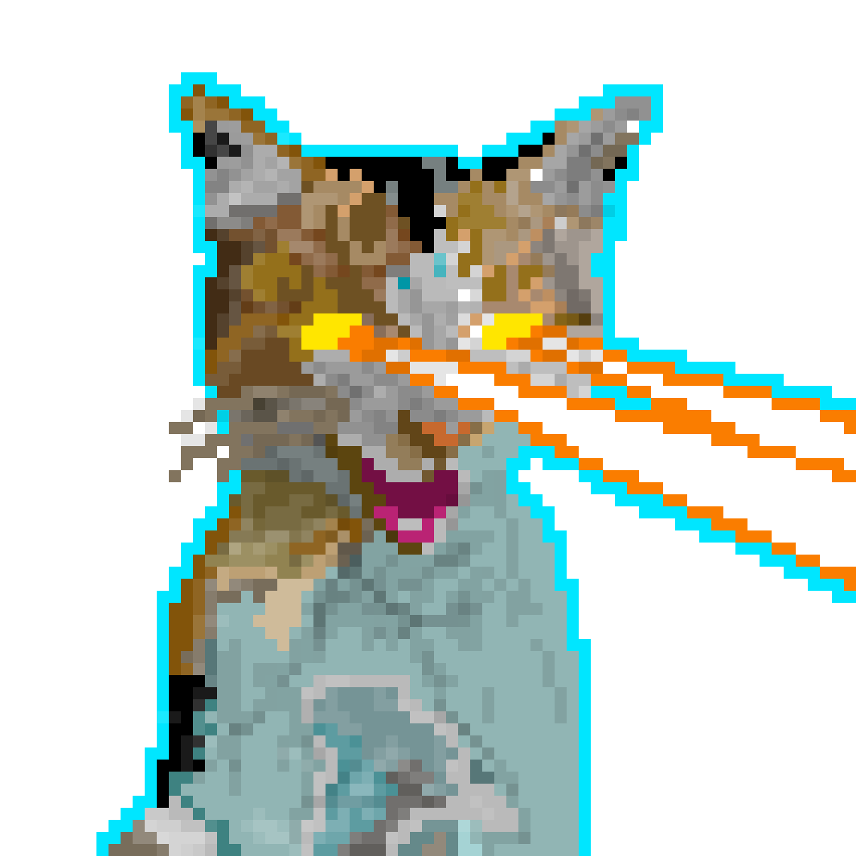 Pixilart Laser Cat by burg4