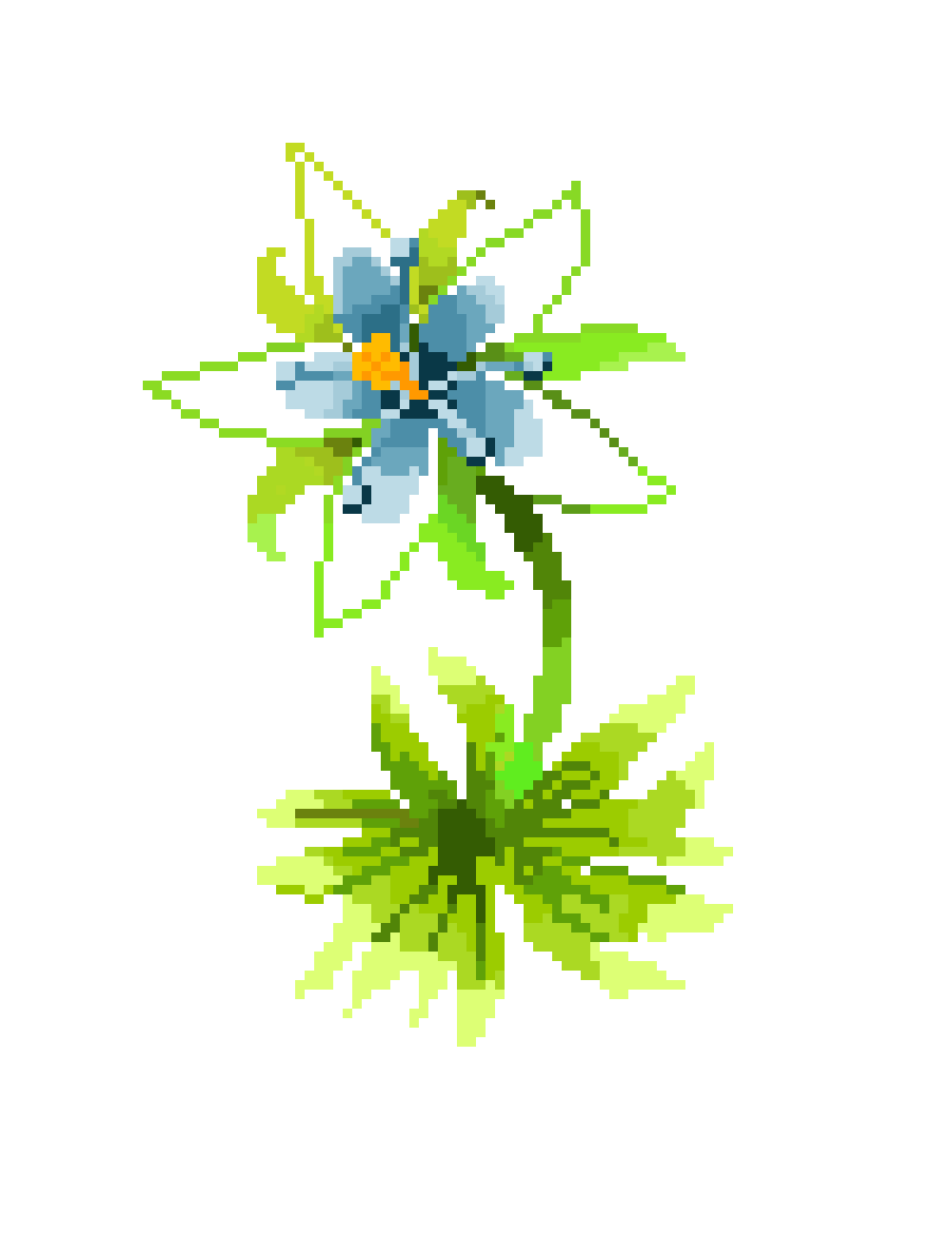 Silent Princess Flower Best Flower Site