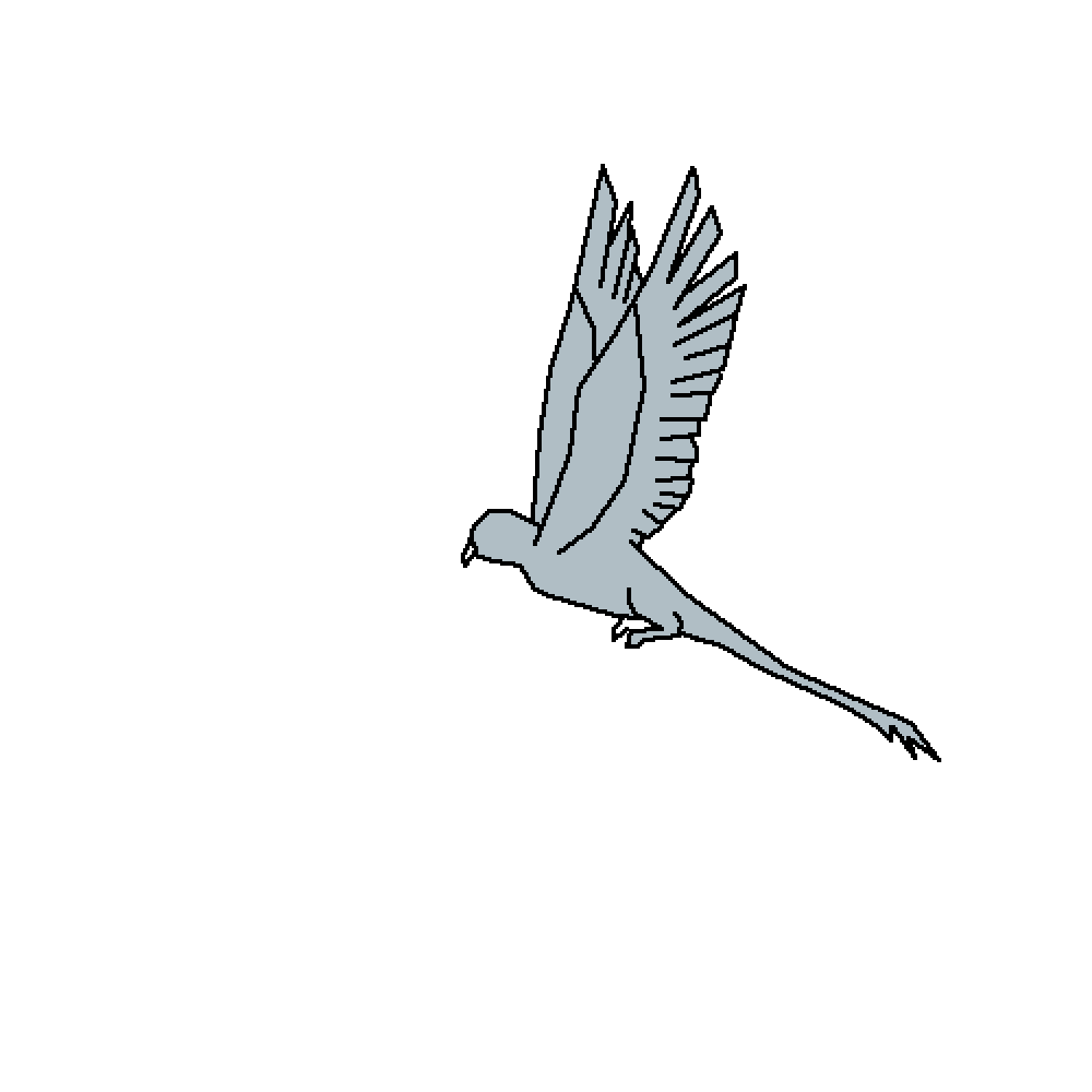 Black Bird Flying Gif