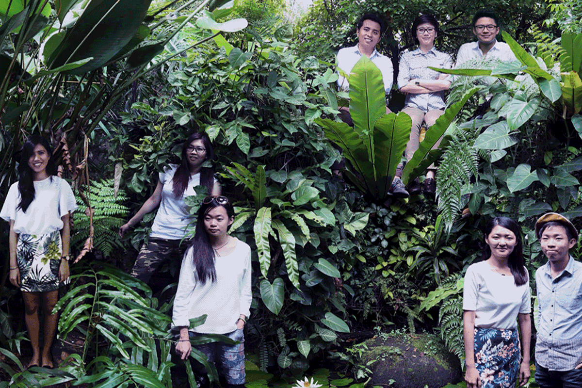 SALAD DRESSING art4d