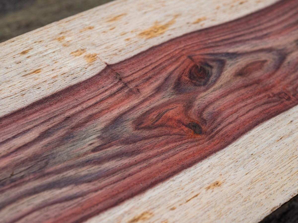 The Beauty of Exotic Wood Furniture Art & Home