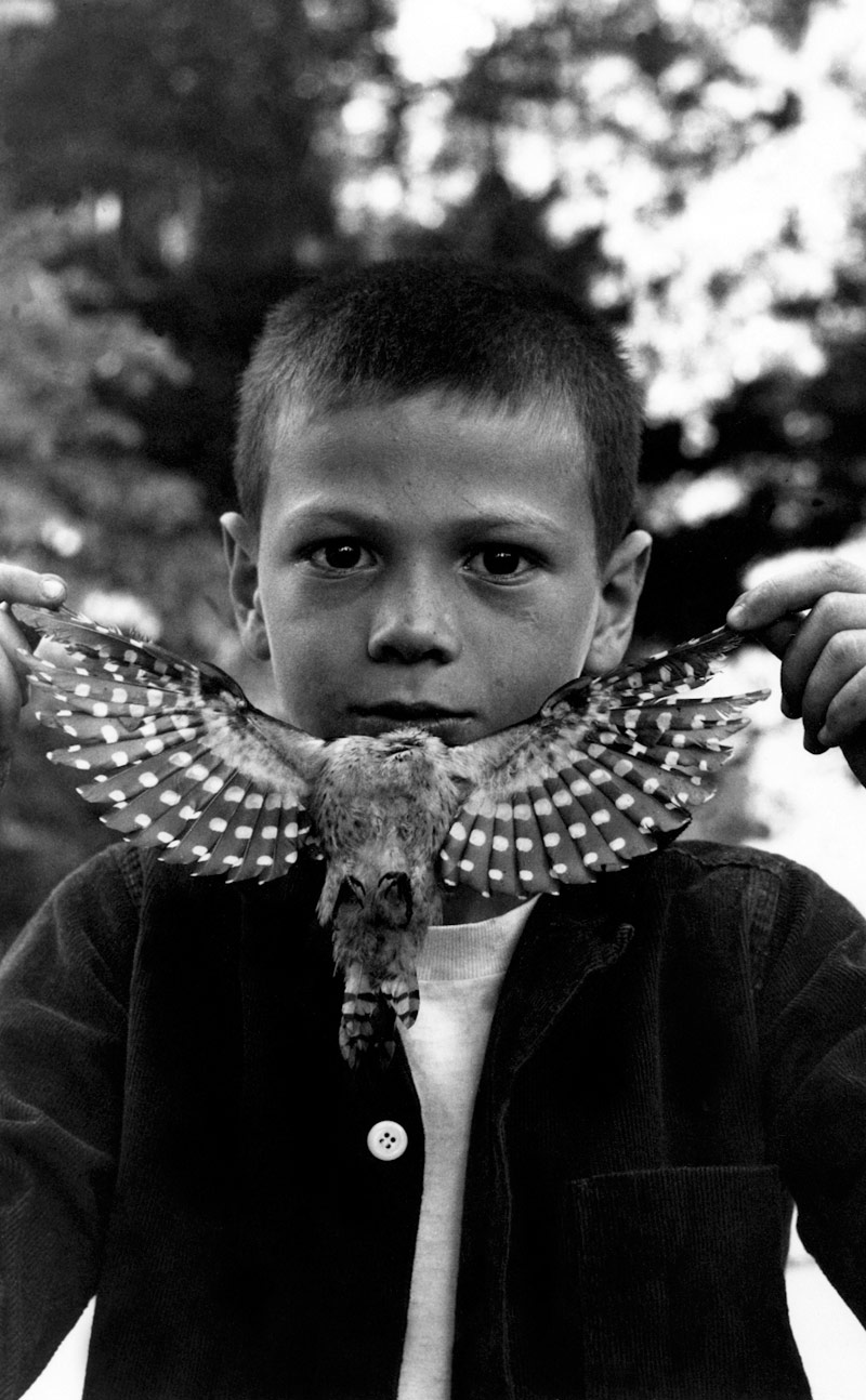 Art Does Not Exist in a Vacuum Zarina Gallardo Photo 1