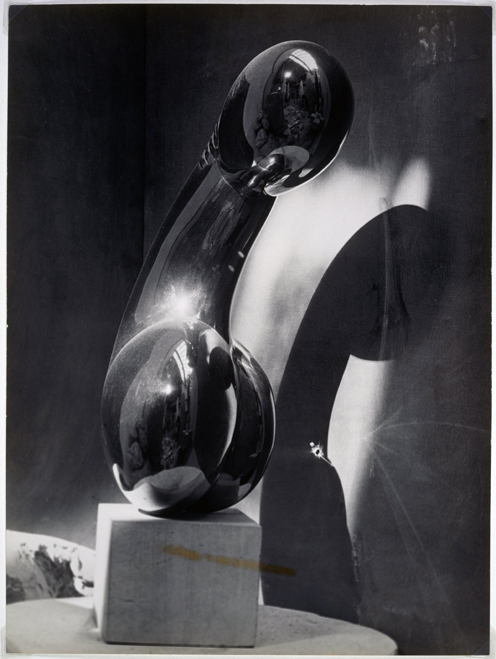 Brancusi Princesse X