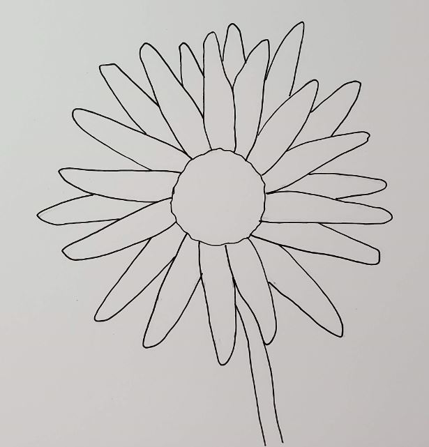 How to Draw a Daisy Easy Step by Step Art by Ro