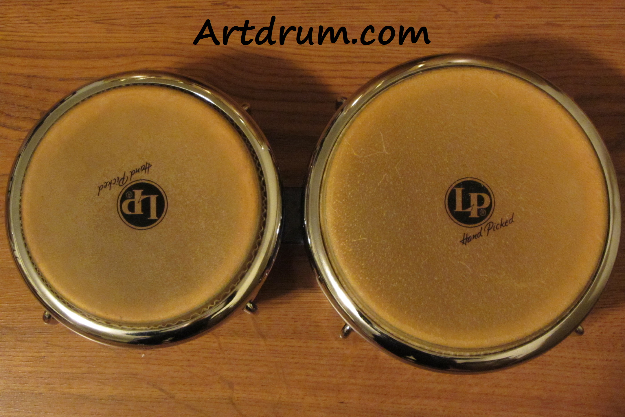 Index of /IMAGES/ARTDRUMDRUMS/LP/Bongos/GenerationIICustomBongo