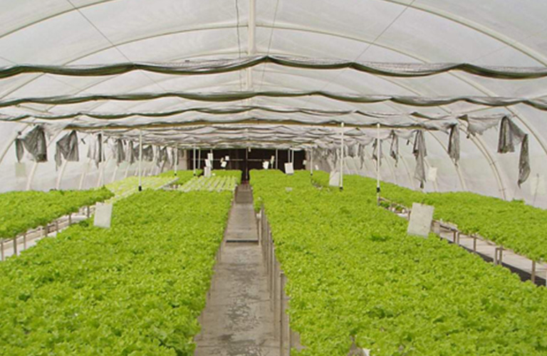 Aluminum shade cloth ARTEC