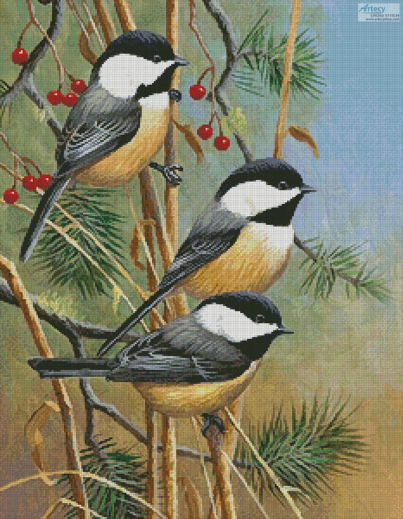 Artecy Cross Stitch. Chickadees Cross Stitch Pattern to print online.