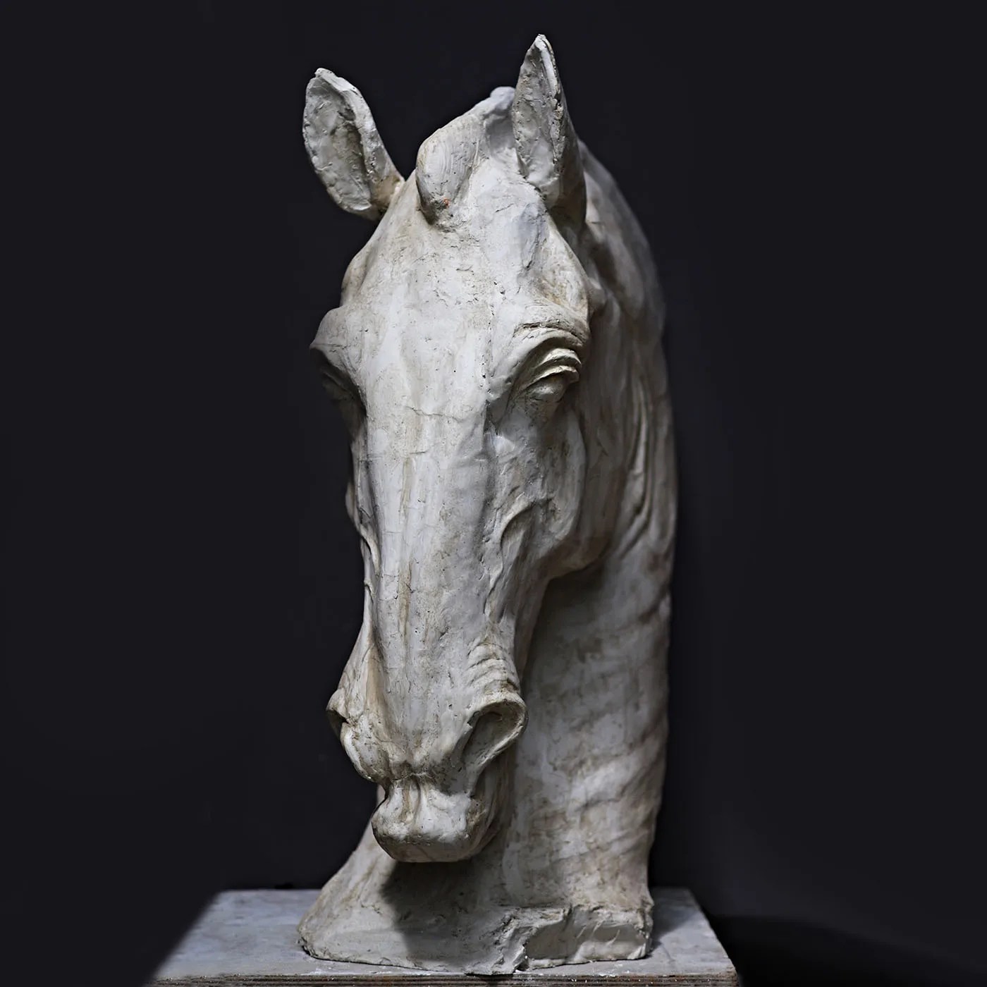 Horse's Head Sculpture Galleria Romanelli Artemest