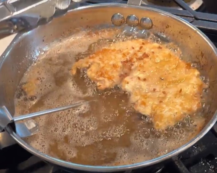 Wild Turkey Schnitzel Artemis Artemis