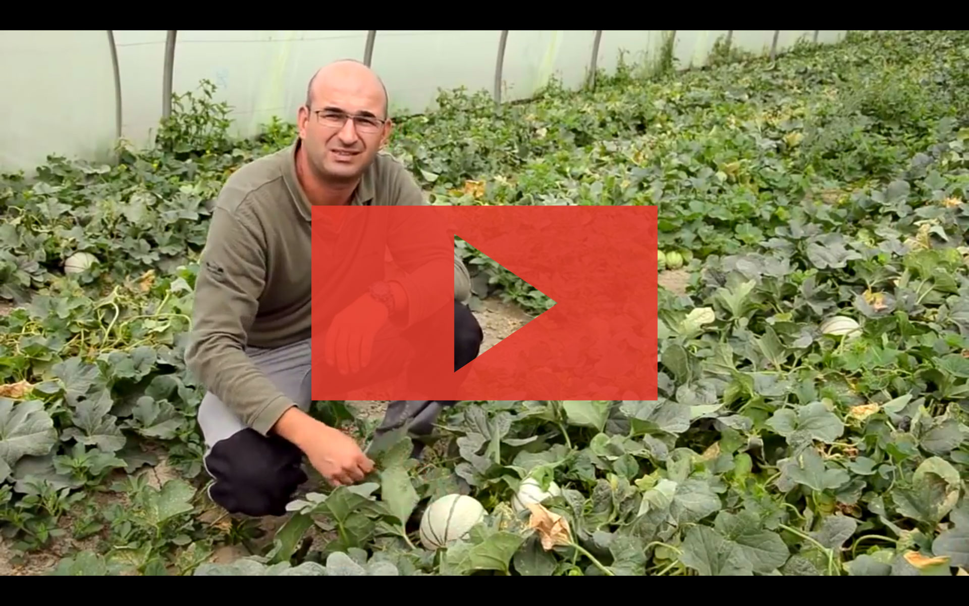 Commande de la Chambre d'Agriculture de Vaucluse ADIV 84