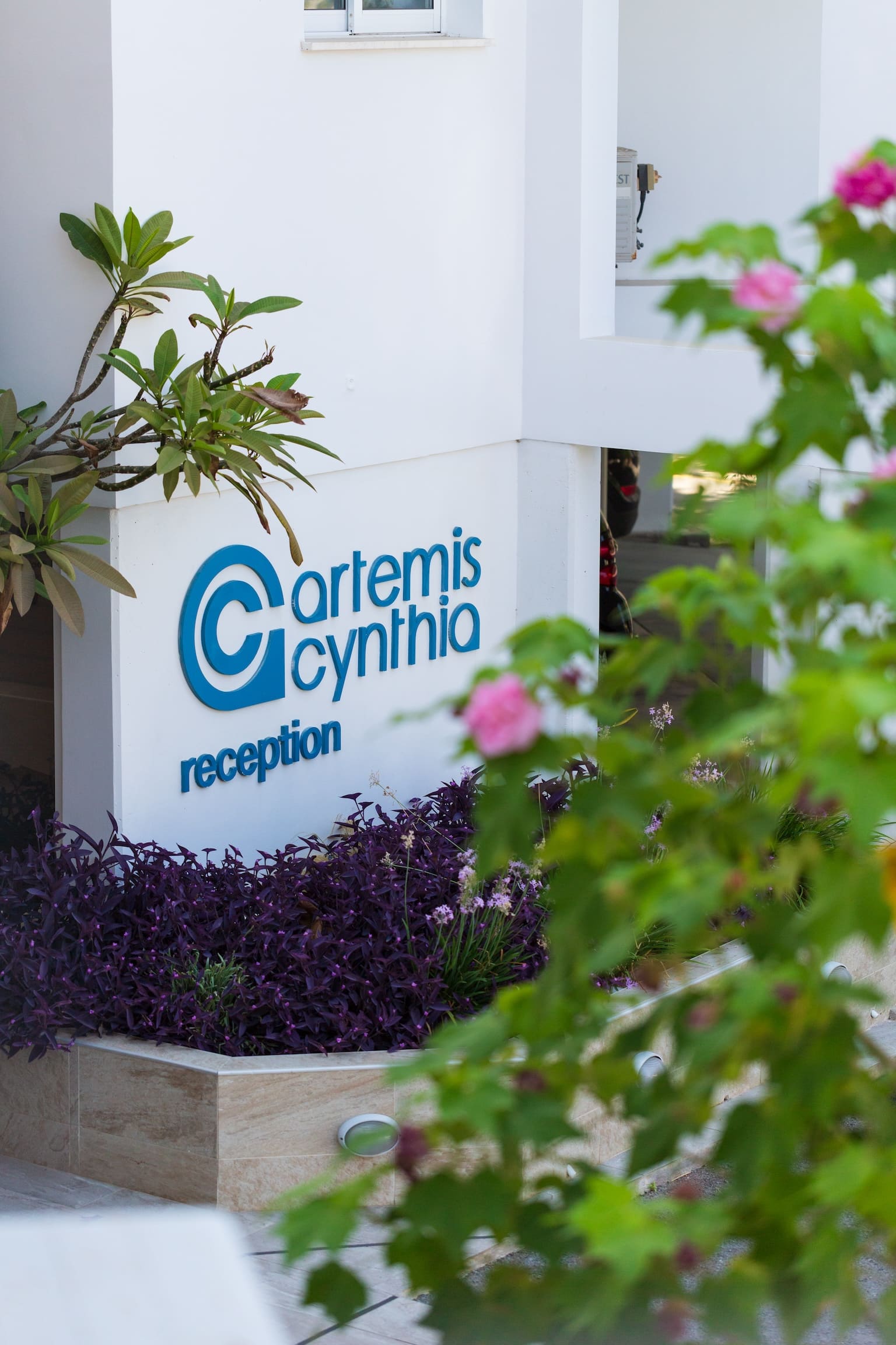 Images From Complex Artemis Cynthia Complex in Paphos