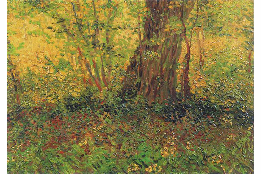Vincent van Gogh – Undergrowth, 1887 