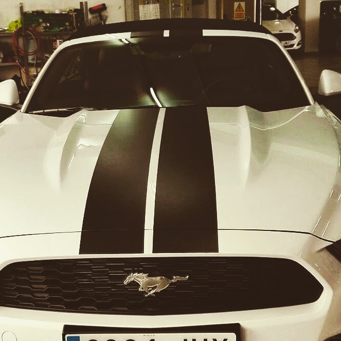 Lineas en vehículos – Arte y vinilo