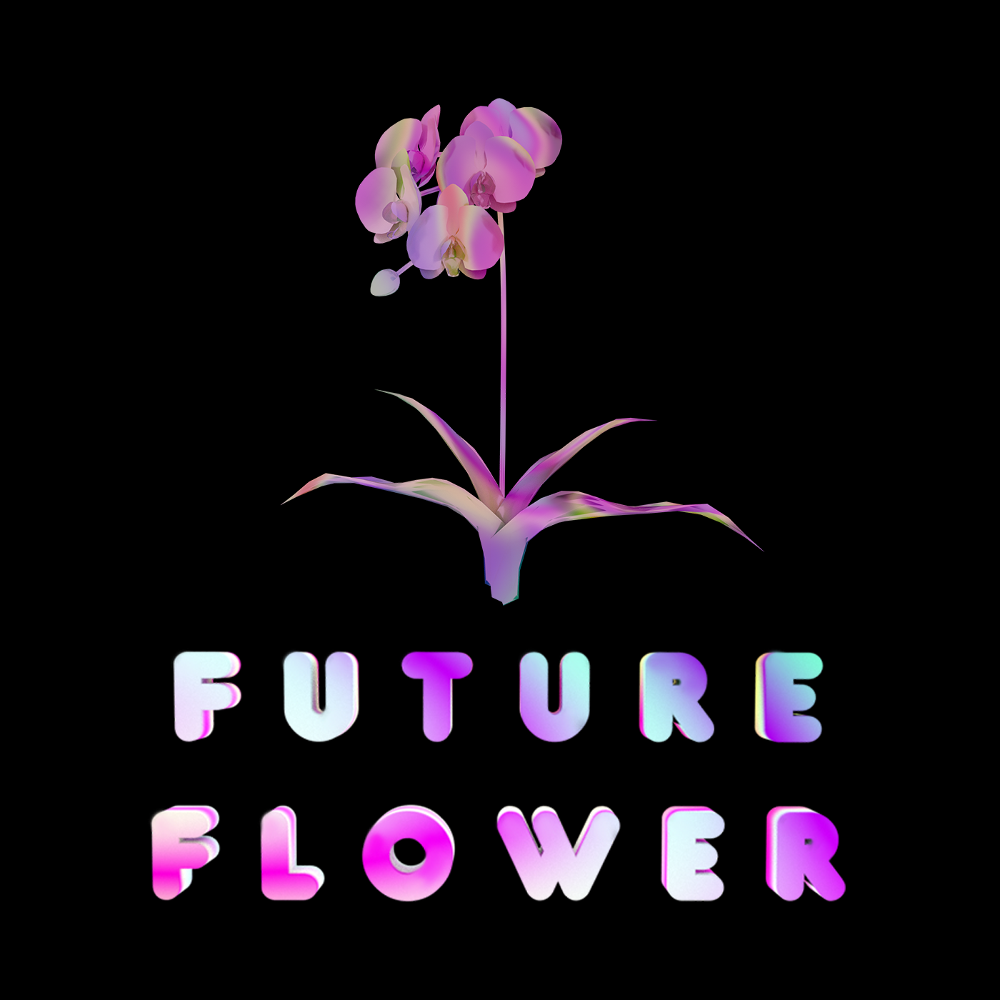 Future Flower The Known Universe Vs John Bruneau