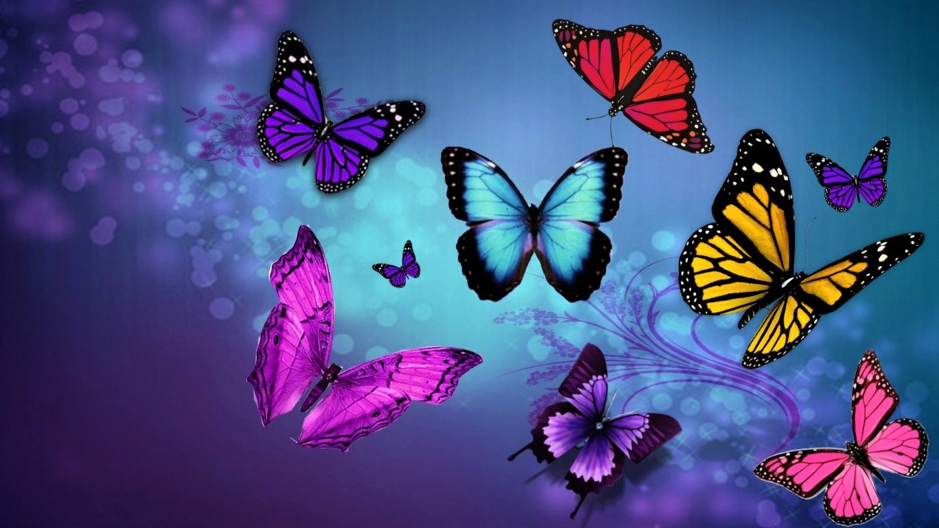 Colorful Butterflies
