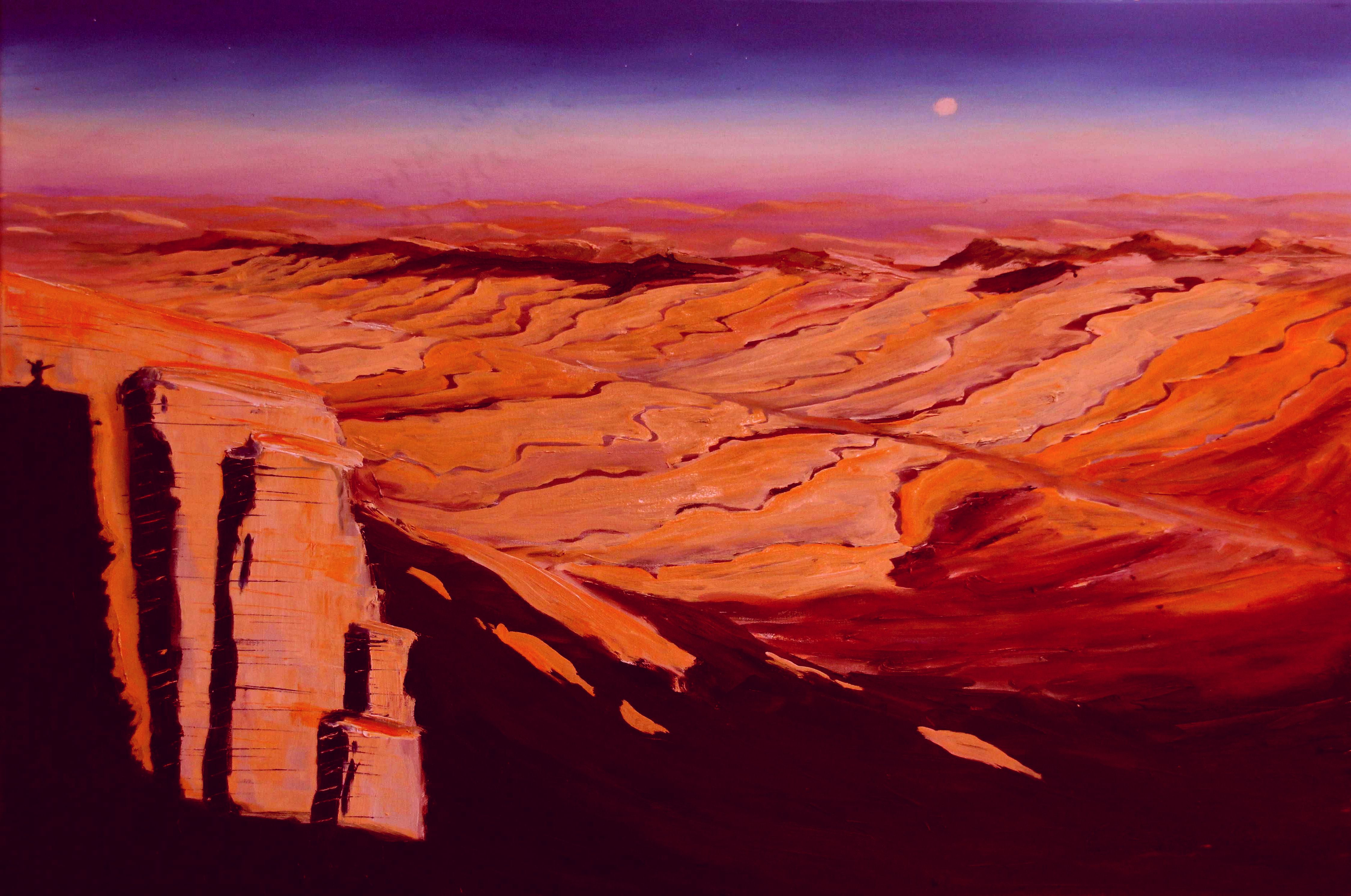 Holy Land Negev Desert oil painting by Christian Seebauer
