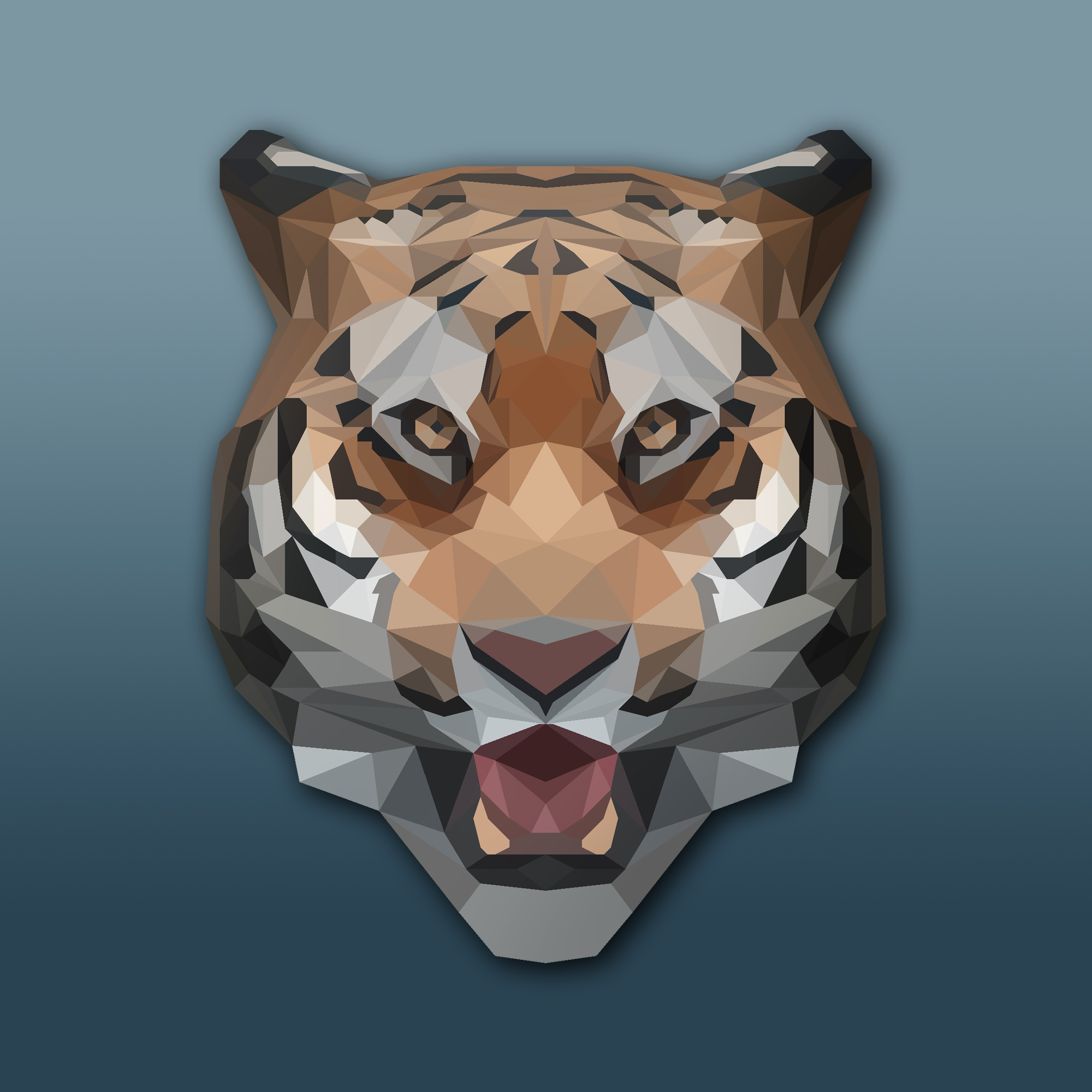 Facets Art by TuGuLDuR990531