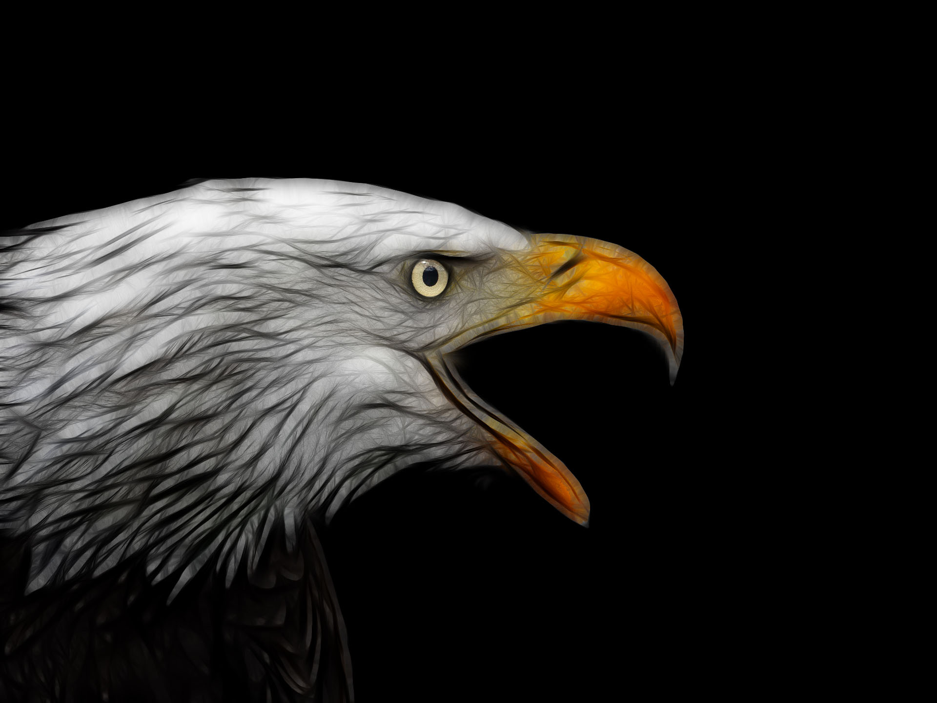 Illustrative Eagle by Susanlu4esm