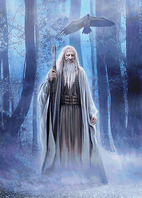 The Wizard